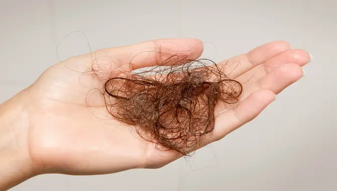 Why Do Some People Lose Hair In Summer?
