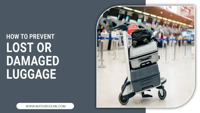 Lost or Damaged Luggage