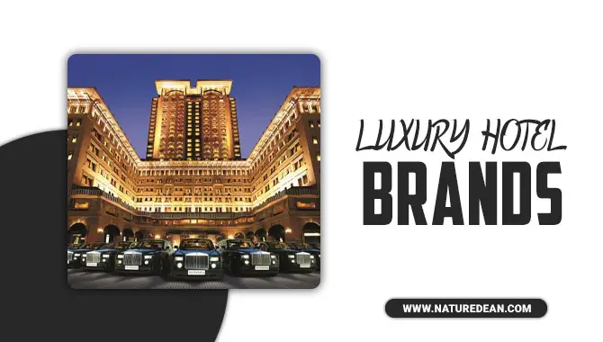 Luxury Hotel Brands