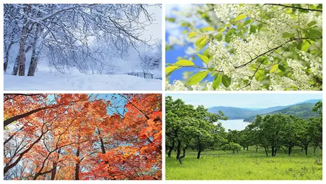 Science Of Seasons You Have To Know As A Traveller