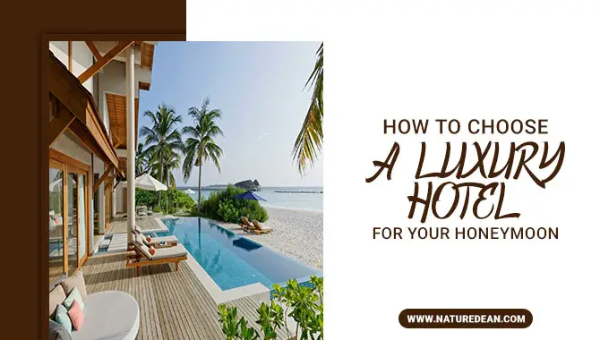 How To Choose A Luxury Hotel For Your Honeymoon