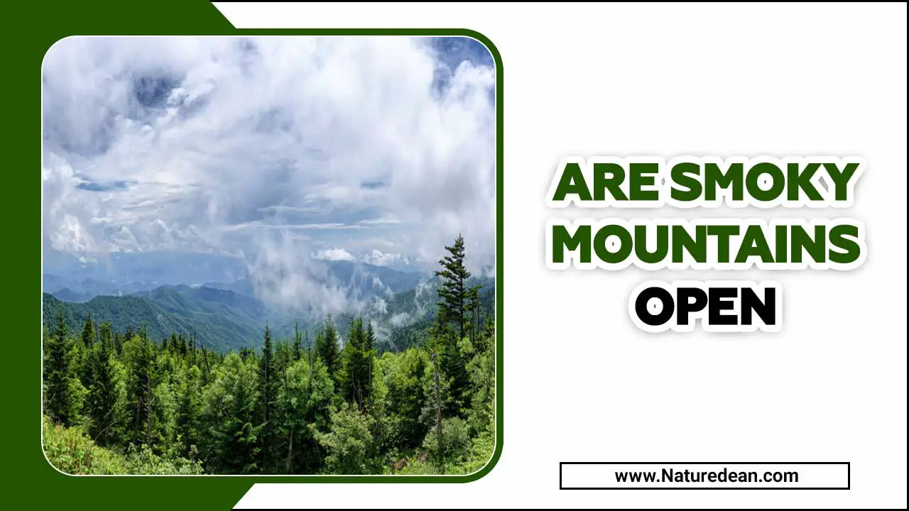 Are Smoky Mountains Open
