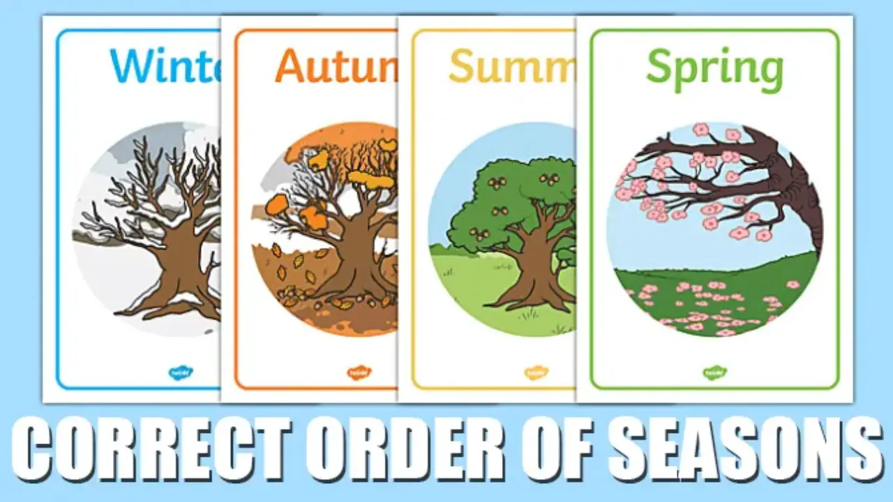 Correct Order Of Seasons - Explained
