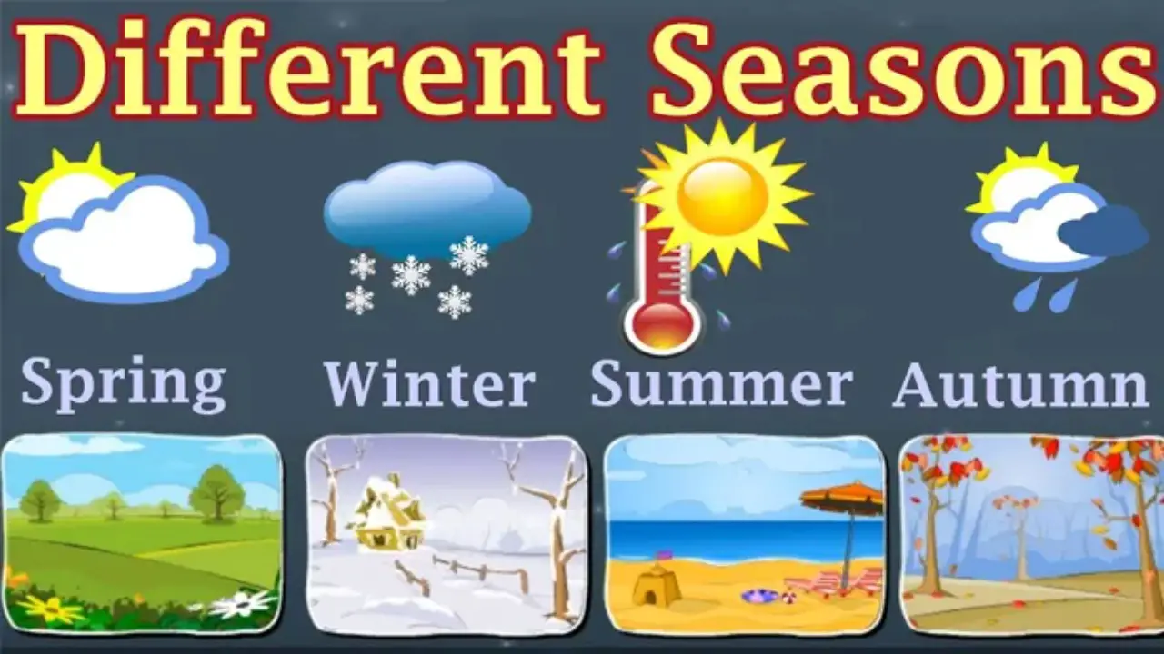 Different Seasons In Different Places - Choose Your Best Place