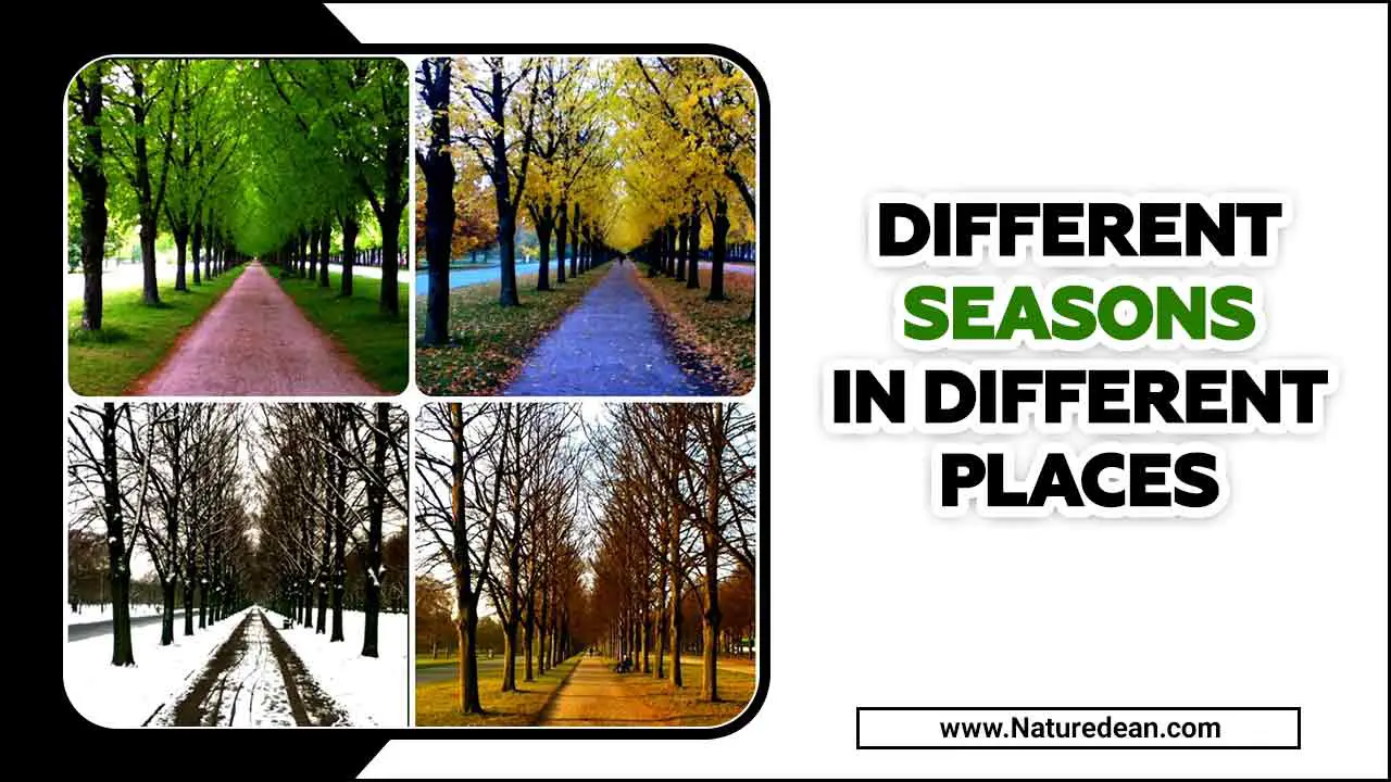Different Seasons In Different Places