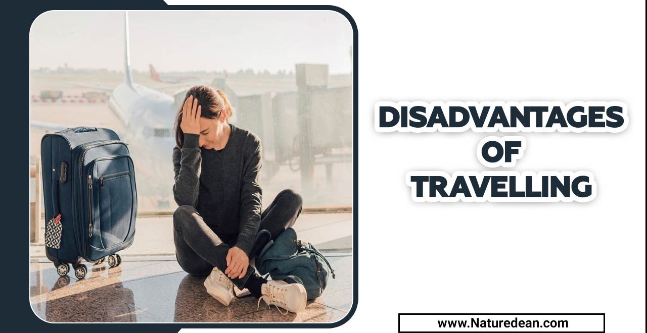 Disadvantages Of Travelling