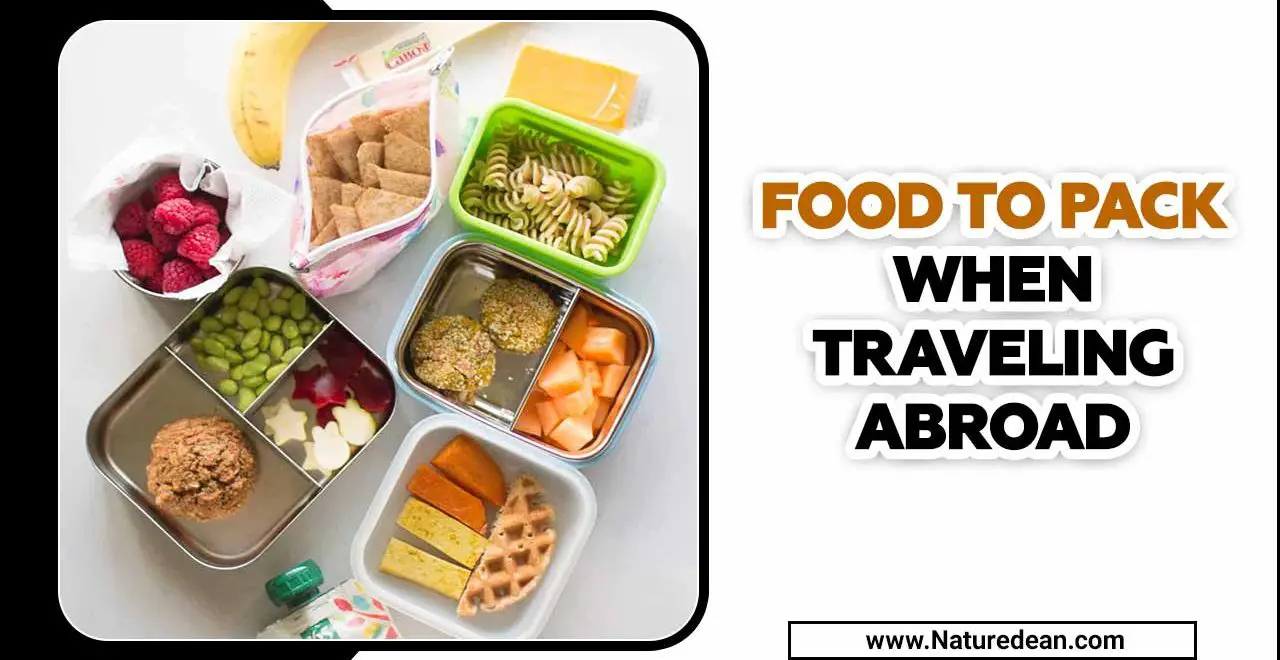 Food To Pack When Traveling Abroad
