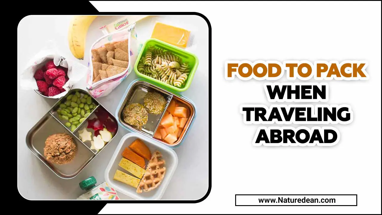 Food To Pack When Traveling Abroad