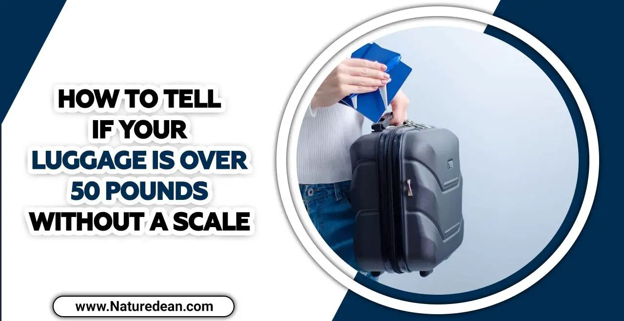 How To Tell If Your Luggage Is Over 50 Pounds Without A Scale