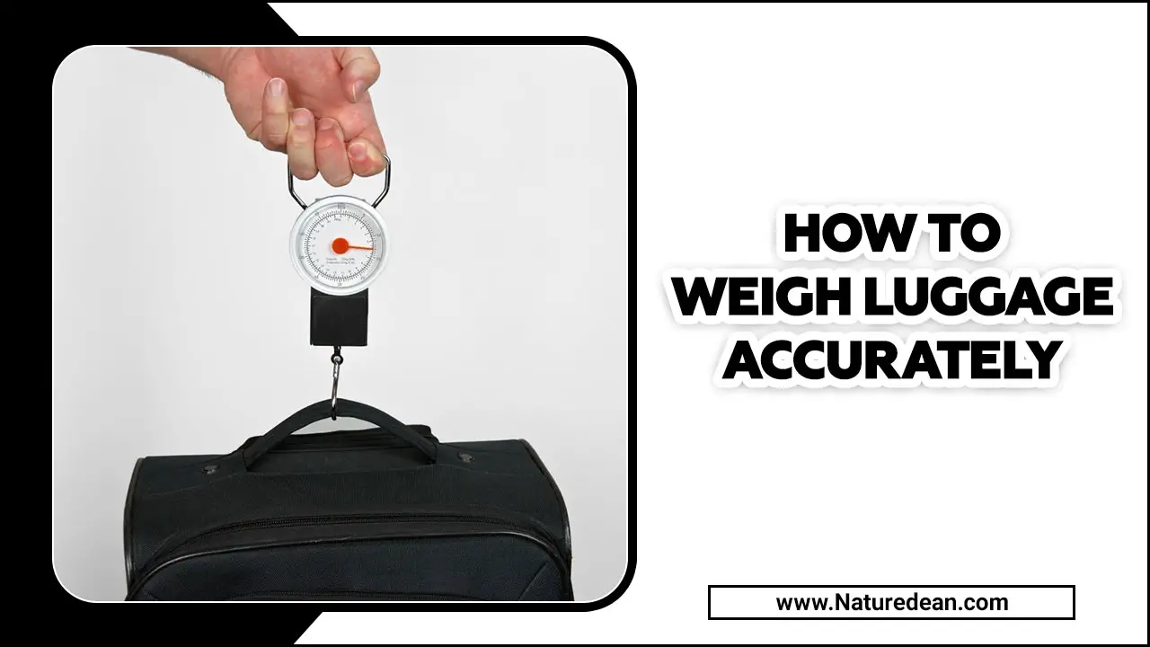 How To Weigh Luggage Accurately