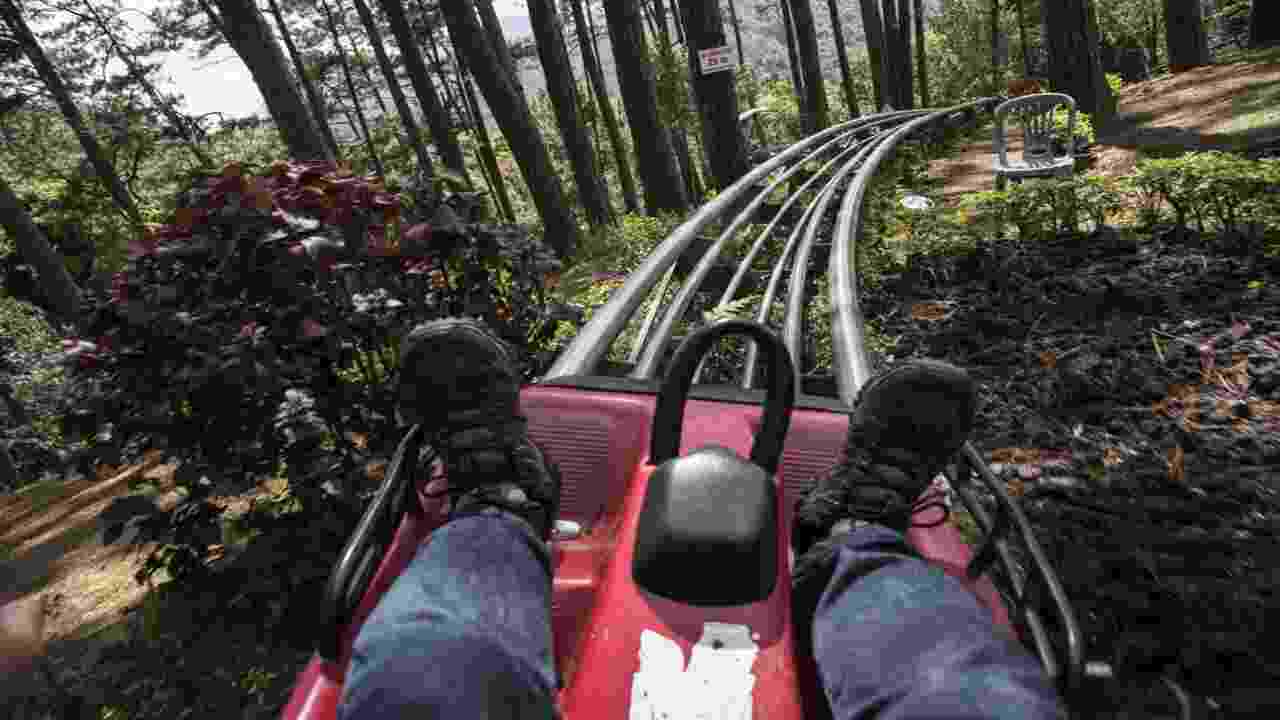 Quick Facts About Our Alpine Mountain Coaster In Pigeon Forge, TN