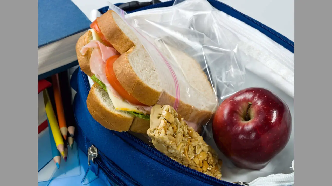 Tips For Packing Food Safely And Securely