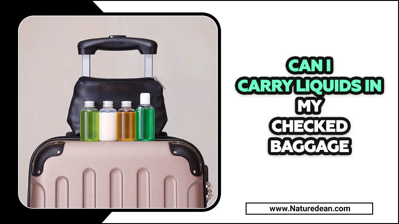 Carry Liquids In My Checked Baggage