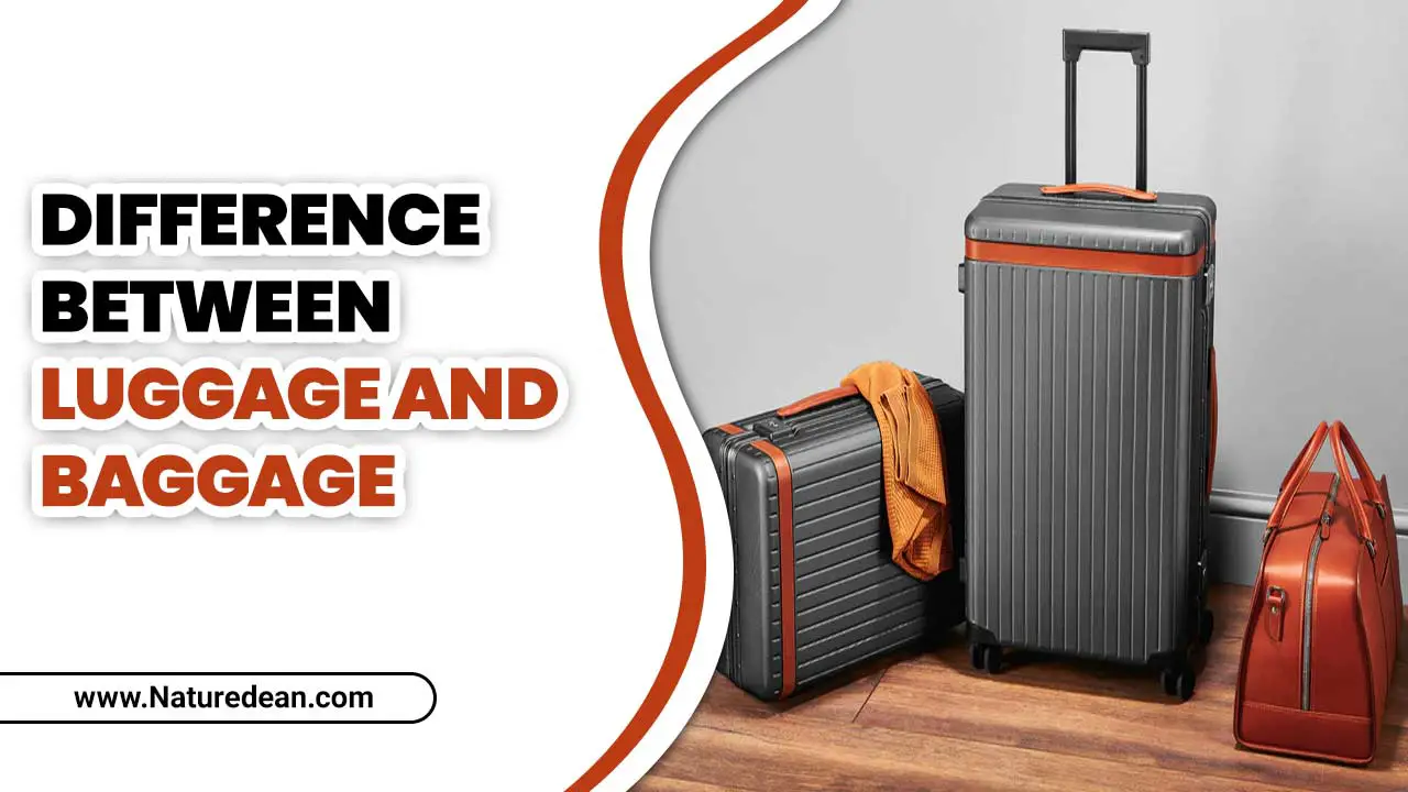 Difference Between Luggage And Baggage
