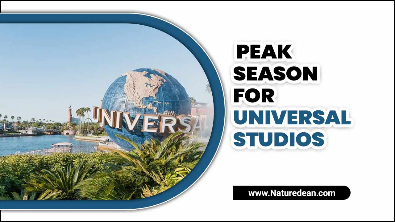Peak Season For Universal Studios